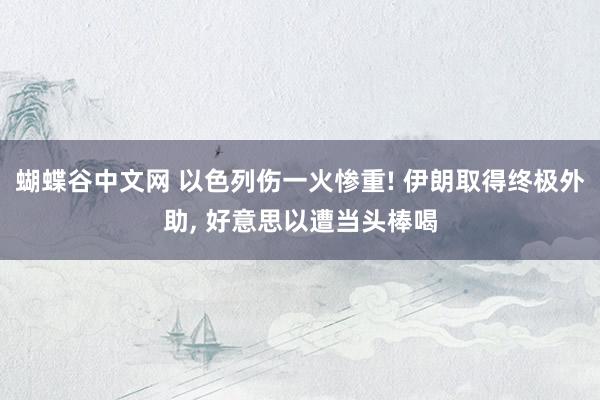 蝴蝶谷中文网 以色列伤一火惨重! 伊朗取得终极外助, 好意思