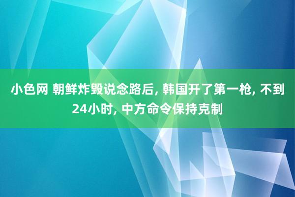 小色网 朝鲜炸毁说念路后, 韩国开了第一枪, 不到24小时,