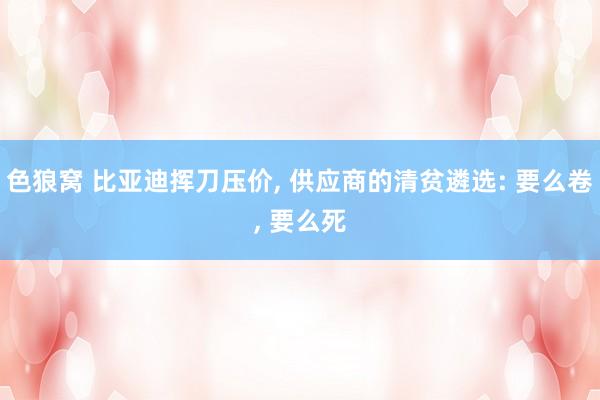 色狼窝 比亚迪挥刀压价, 供应商的清贫遴选: 要么卷, 要么