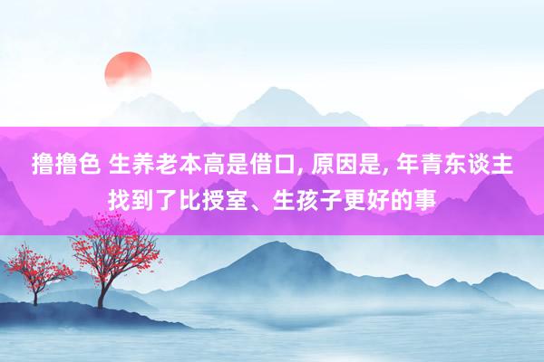 撸撸色 生养老本高是借口, 原因是, 年青东谈主找到了比授室